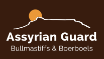 Assyrian Guard Bullmastiffs & Boerboels
